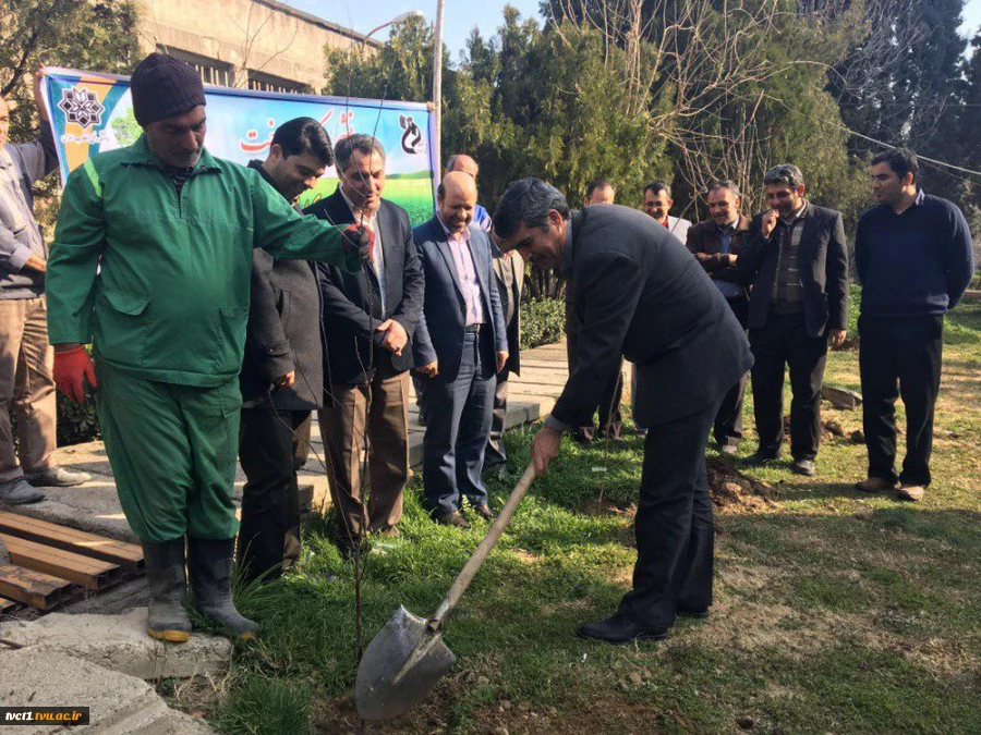 برگزاری آیین روز درختکاری در دانشکده فنی انقلاب اسلامی