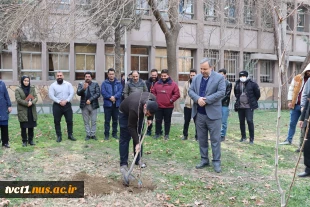 با حضور رئیس دانشگاه ملی مهارت استان تهران صورت گرفت:

برگزاری آیین درختکاری در دانشکده فنی انقلاب اسلامی 5